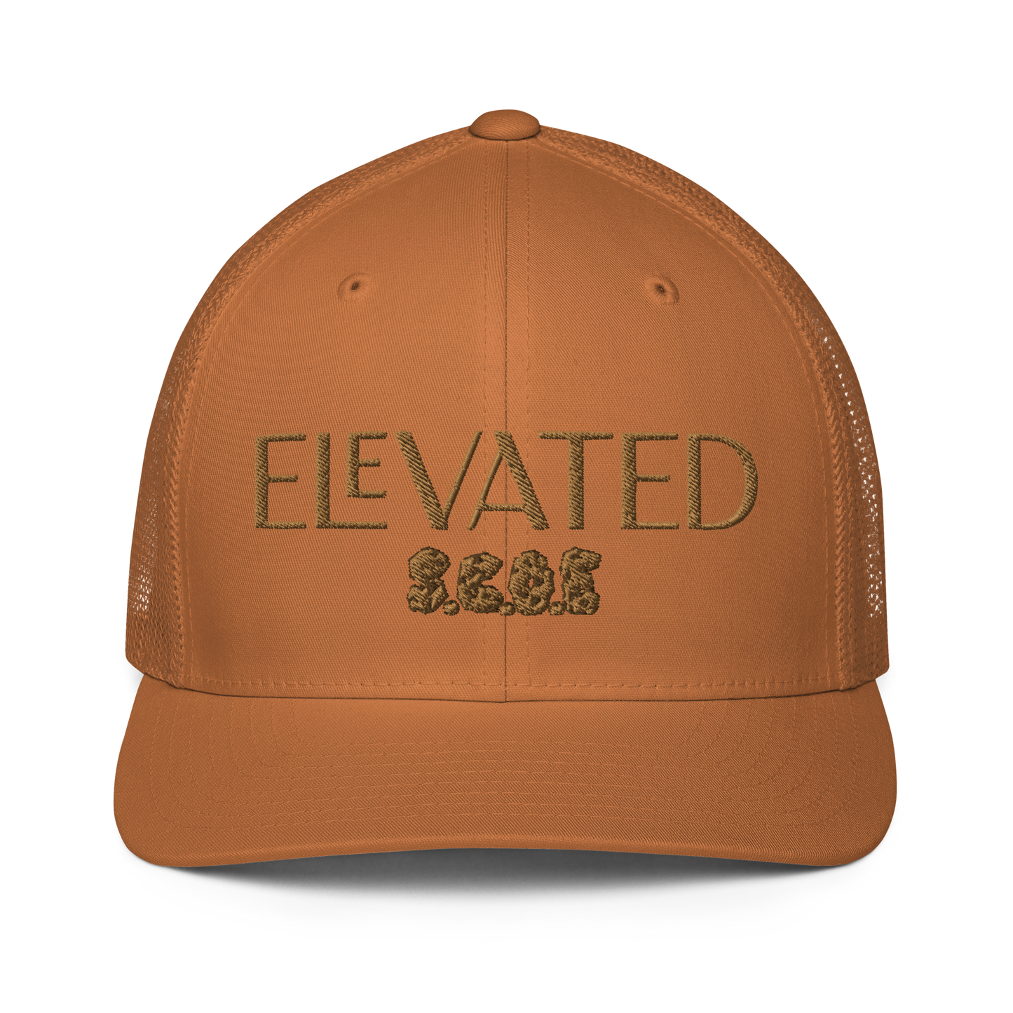 {ELEVATED MIND} Rockwood Amber Trucker