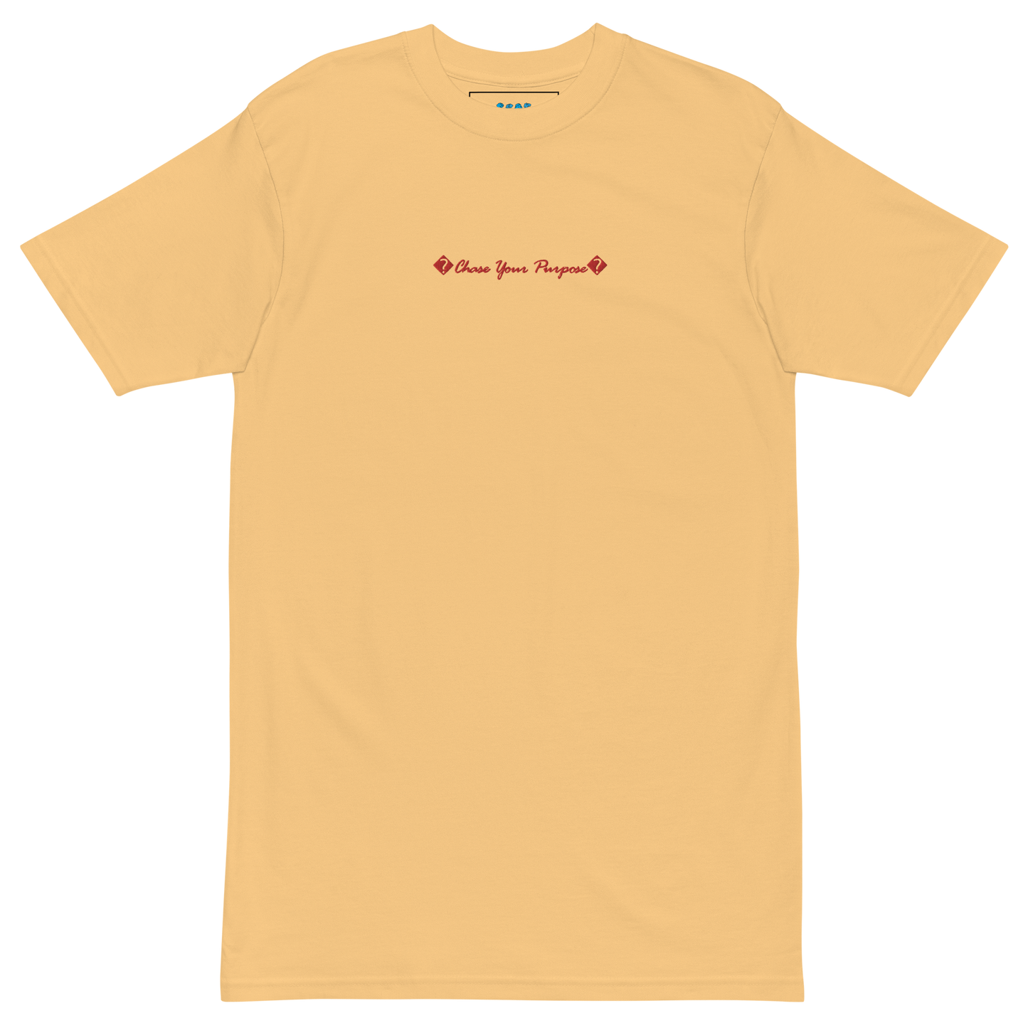 S.C.O.E {Chase Your Purpose} Vintage Tee