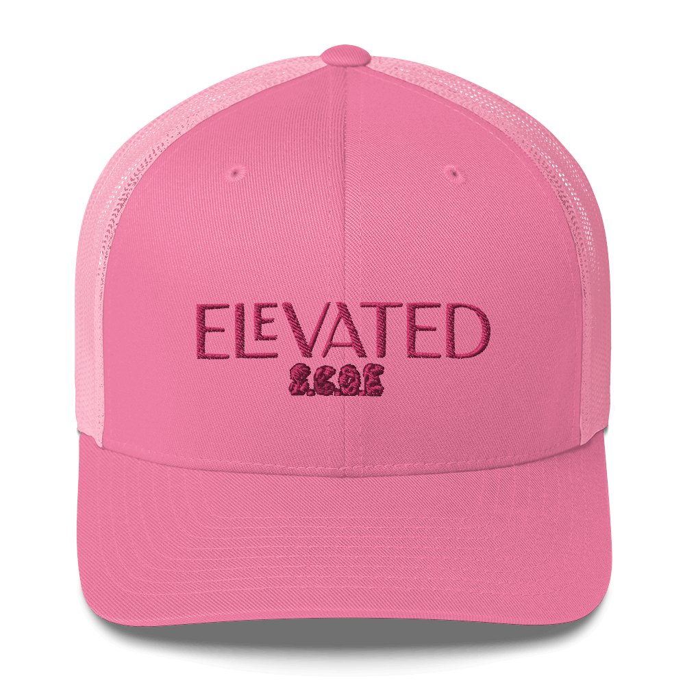 {ELEVATED ALIGNMENT} Flamingo Trucker