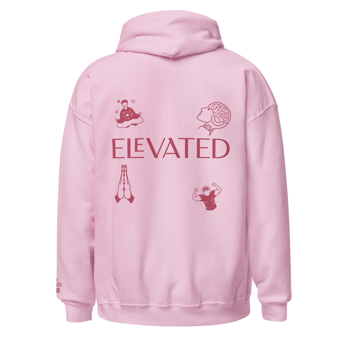 {ELEVATED ALIGNMENT} Flamingo Hoodie