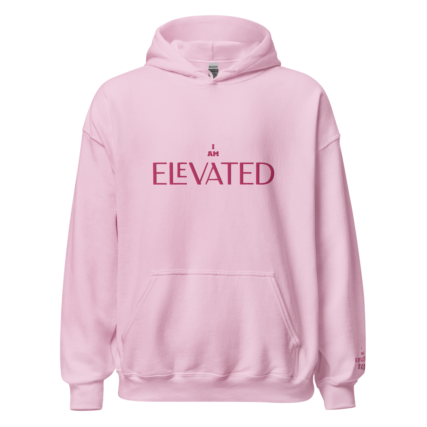 {ELEVATED ALIGNMENT} Flamingo Hoodie