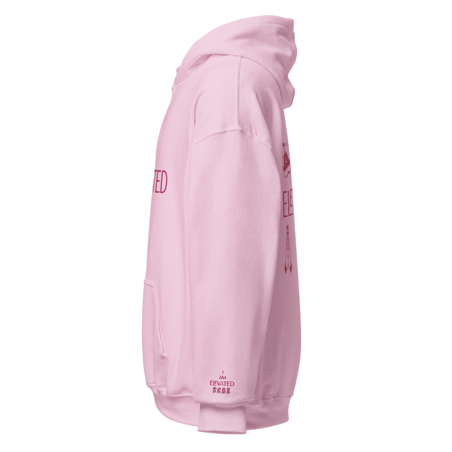 {ELEVATED ALIGNMENT} Flamingo Hoodie