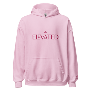 {ELEVATED ALIGNMENT} Flamingo Hoodie